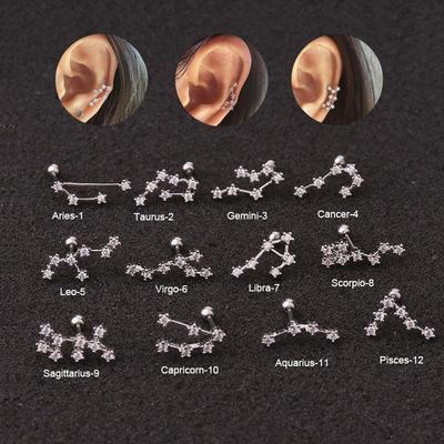 Korean Mini 12 Constellation Ear Studs, Stainless Steel CZ Zodiac Earrings