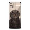 Funny Animal Cat Phone Case For OnePlus 15 13 12 11 10 9 8 15T 13T 10T 7T Pro 13R 12R 9RT 8T Nord 4 N10 2T CE 2 3 5G Cover