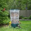 Telescopic Hanging Bird Feeder Transparent Plastic Bird Water Dispenser Large Capacity Hummingbird Feeder Outdoor Decoration