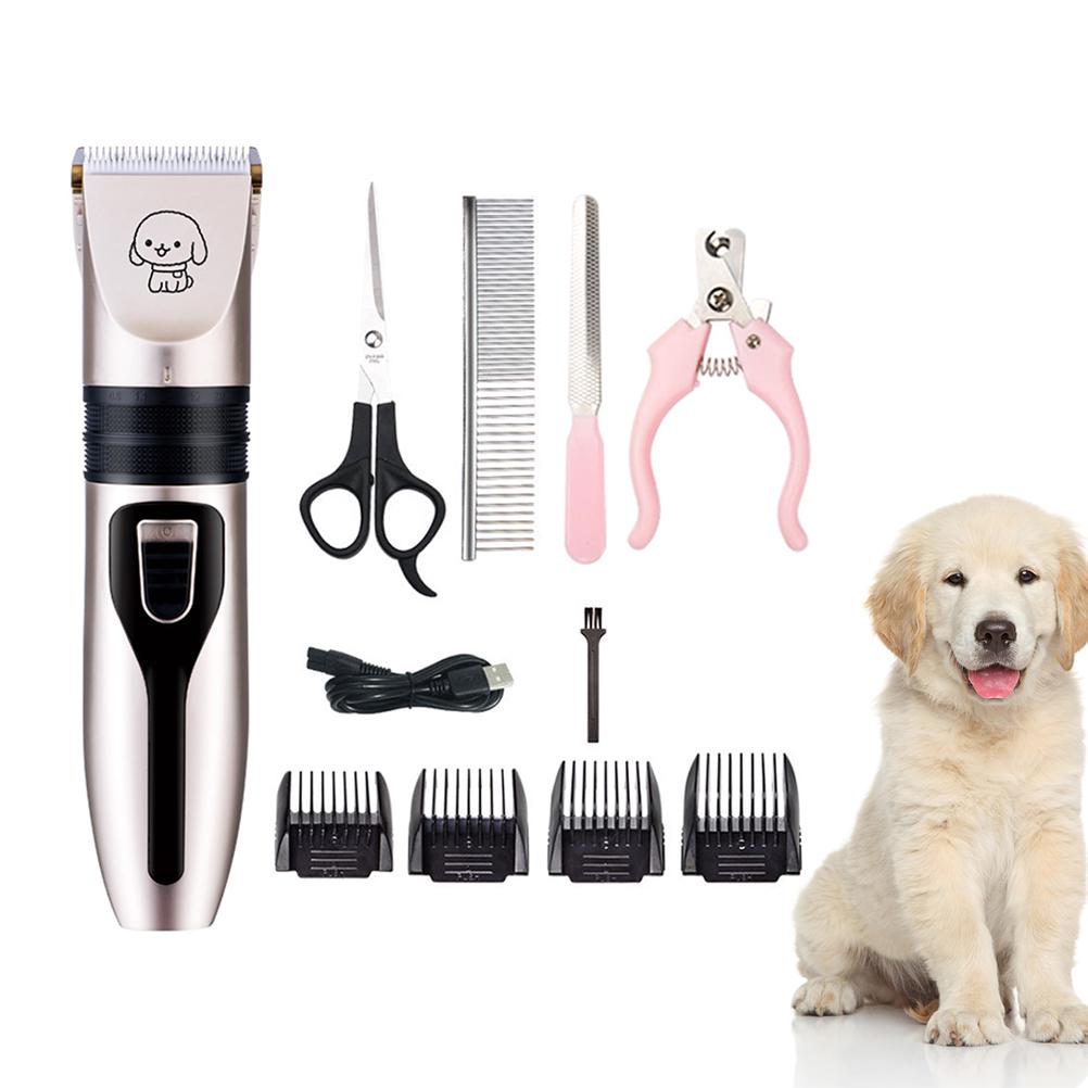 labrador grooming kit