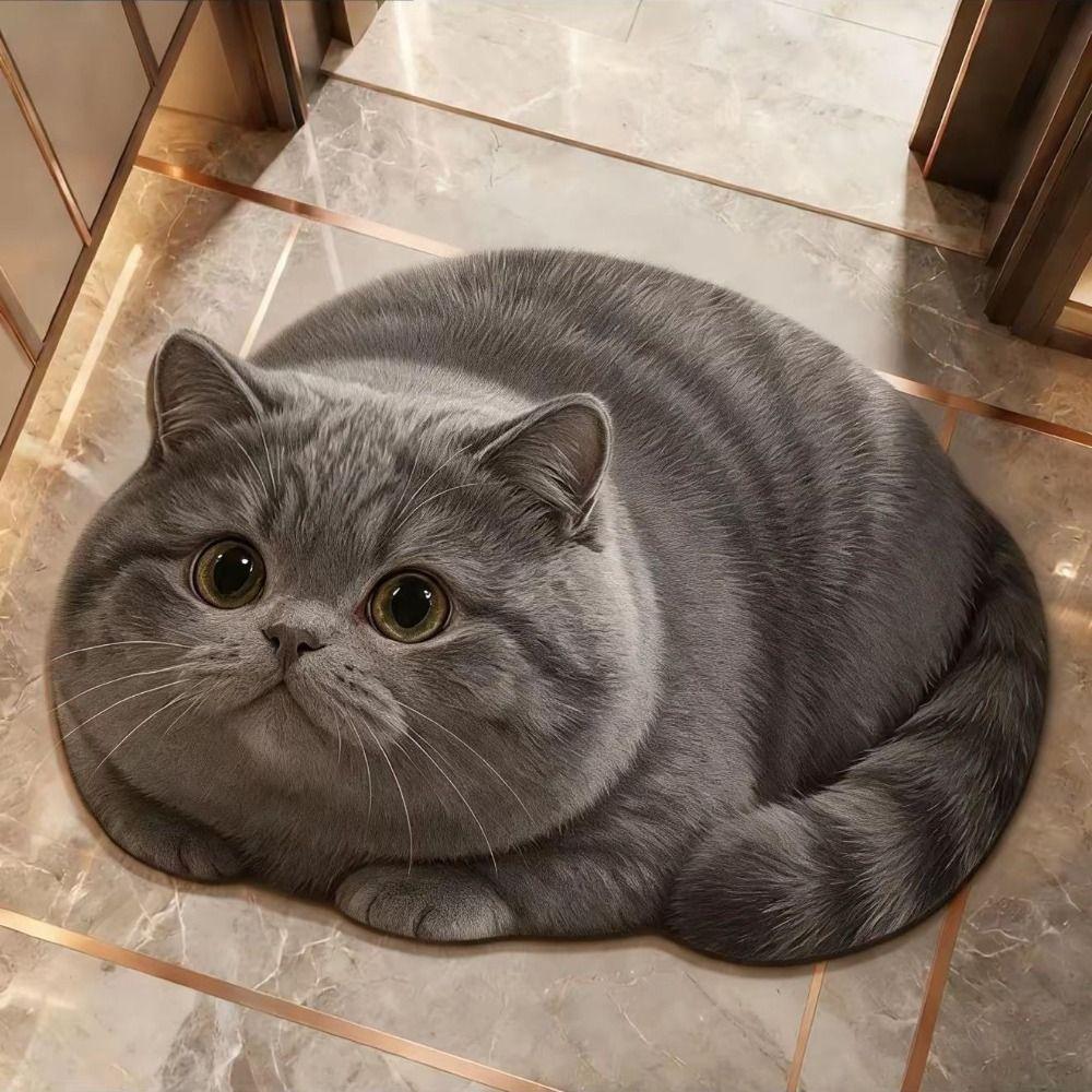 Diatomaceous Earth 3D Cat Floor Mat 45×60CM Bedroom Door Rug Creativity Bathroom Carpet Home Decor