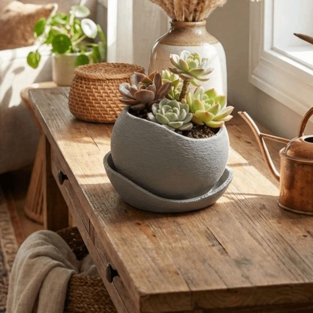 with Drainage Holes Succulent Plant Pots Plastic Creative Planter Irregular Flower Pot  Office Desk