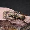 Antique Copper Ant Holding Peanut Figurine Miniature Desk Ornament Creative Animal Incense Holder Lucky Decor Crafts Accessories