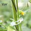 Garden Trellis Accessories Plant Support Clips, Plastic Vine Reusable Tomato Stem Adjustable Clips for Vegetables, Climbing Plants, Trellis,