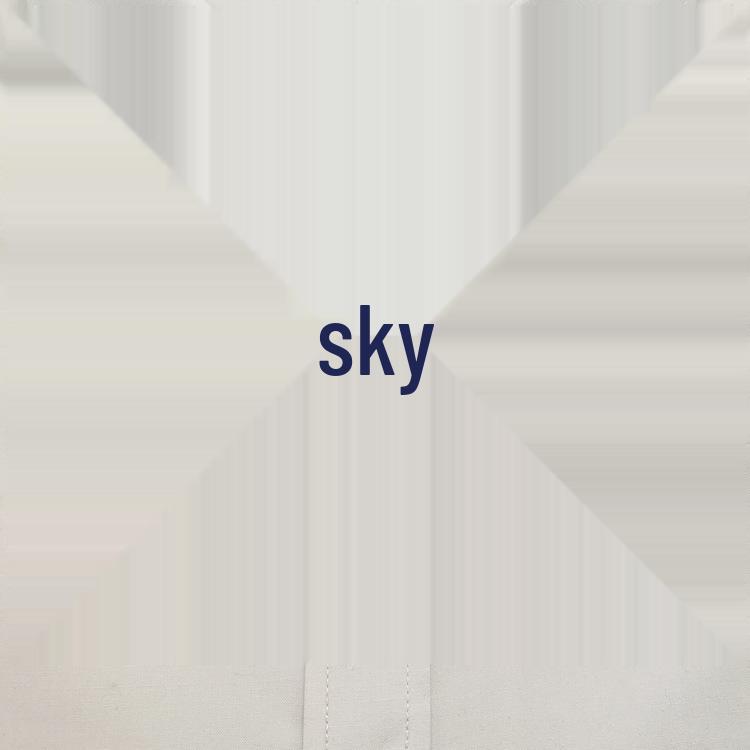 Women's Blue Flower Hair Net & Hairpin for Professionals