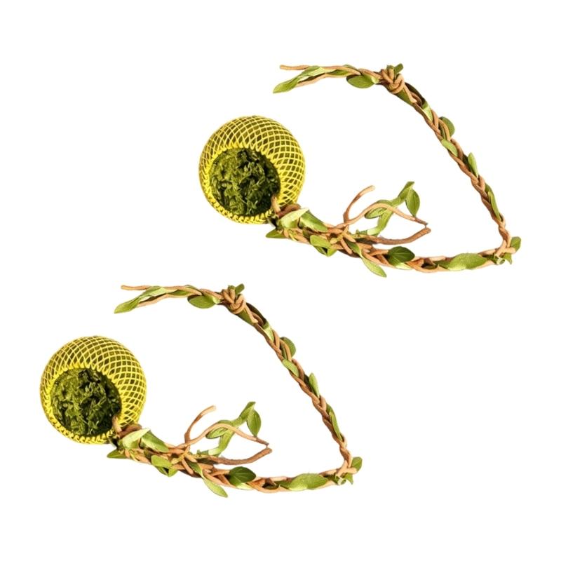 

Jumping Spiders Magnetic Hideouts Cave Shelter Place with Climbing Vine For Pet Lover Easy Observation And Installation