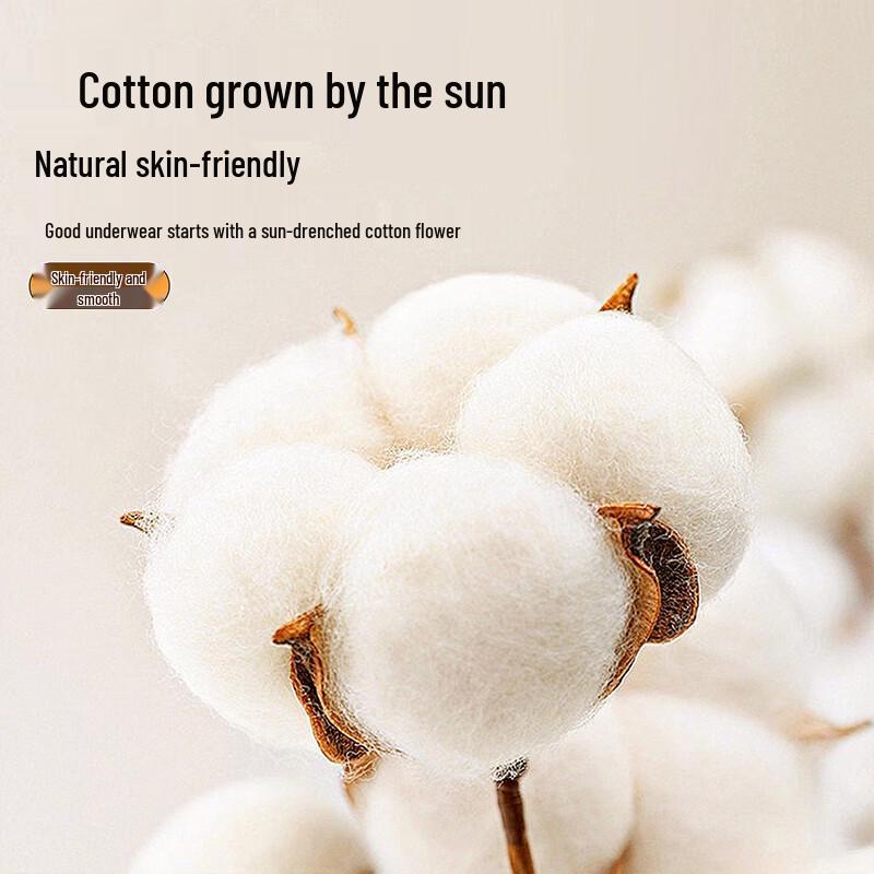 ME FEELING Men's Plus Size Pure Cotton Thermal Underwear Set