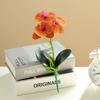 Useful Simulation Phalaenopsis Not Withered Luxury Decorate
