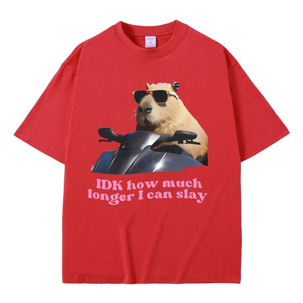 Ich weiß nicht, wie viel länger ich noch slayen kann. Lustige Capybara Meme Grafik T-Shirts Damen Lässig Gemütlich Kurzarm Damen T-Shirts