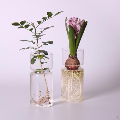 4 Pieces Clear Glass Vase Flower Plant Pot Terrarium Container