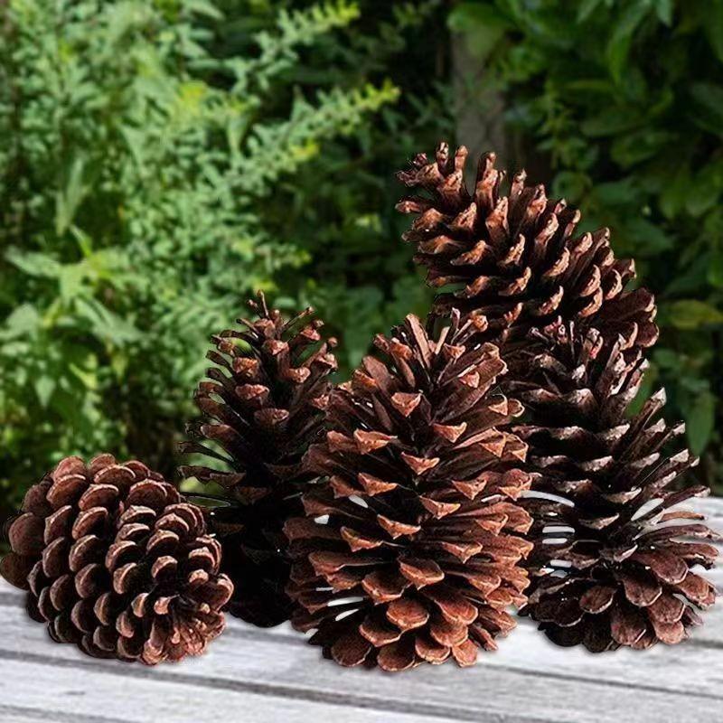 7-15CM Large Pine Cone Christmas Ornaments & Photography Props