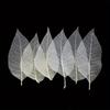 10pcs Art Deco Wooden Leaf Veins Craft Set - DIY Skeletal Magnolia Leaves for Bookmarks and Murals, Plant Specimen Crafting Kit