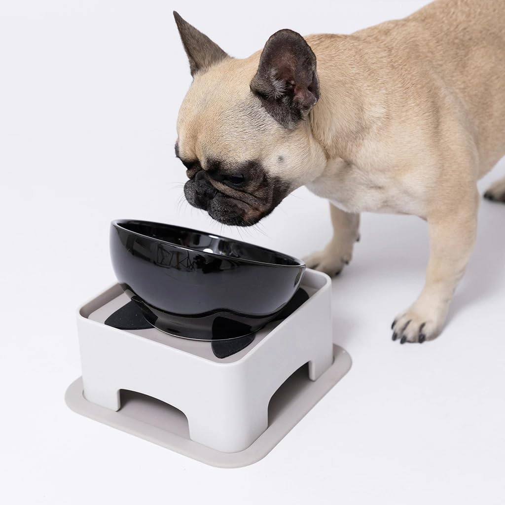 HARIO Pet Bowl and Water Stand with Adjustable Height and Angle, Gray, for Small and Medium Dogs