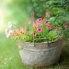 Garden Art Outdoor Decor Rustic Metal Flowers Captivating Aesthetics