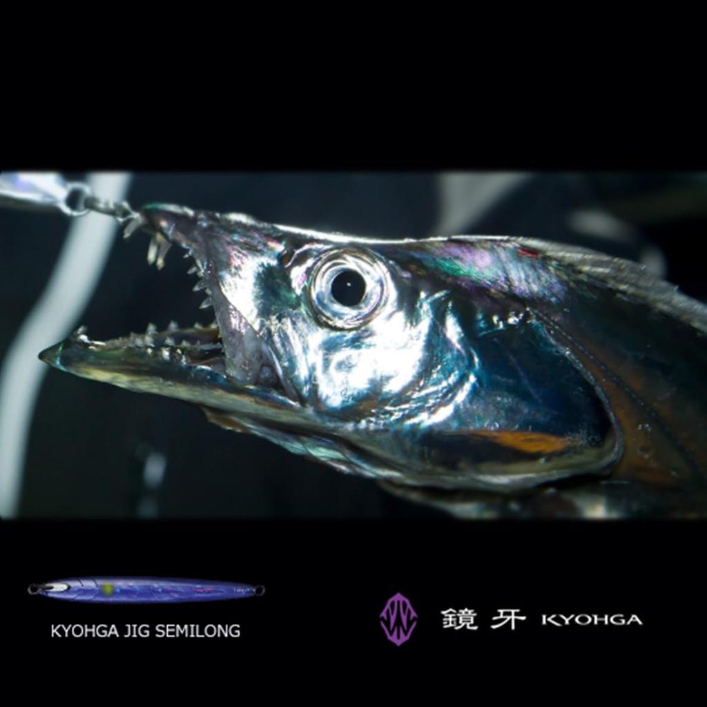 Daiwa Hairtail Kyoga with Crush Holo Bite Marker Jig, Semi-Long, 200g,