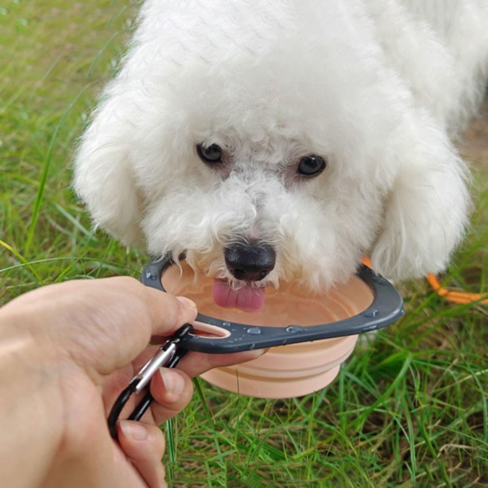 

with Hanging Hook Dog Dish Bowl Bite Resistant Pet Travel Bowl Pet Folding Bowl Travel зелёный