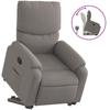 VidaXL Recliner, Relaxation Chair with Adjustable Backrest and Footrest, Living Room Seat, 3204832
