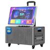 Philips SD290 KTV Home & Outdoor Speaker (CN Version)