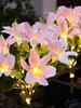 Outdoor Color-Changing LED Jellyfish Garden Lights with Solar Fiber Optics