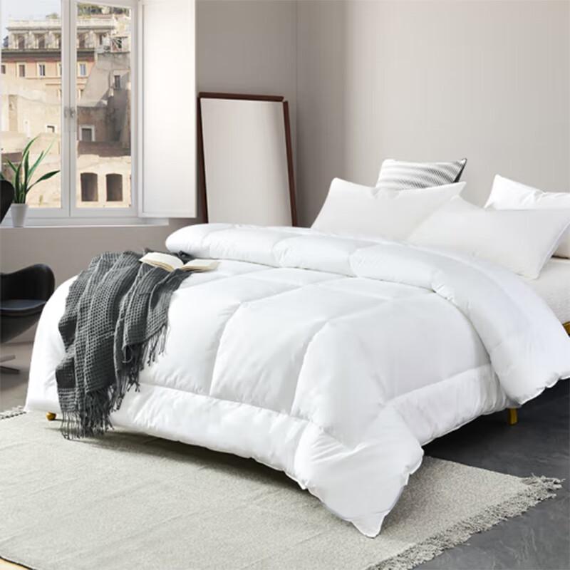 Hotel White Four-Season Duvet Insert