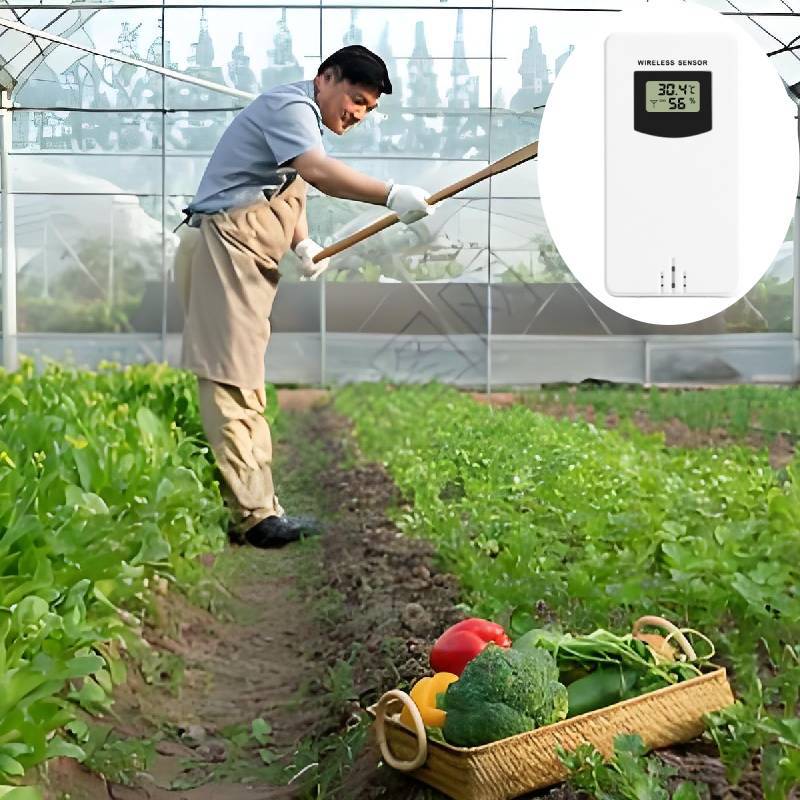 Weather Station Wireless Sensor Digital Display Clock For Outdoor Temperature And Humidity Monitoring