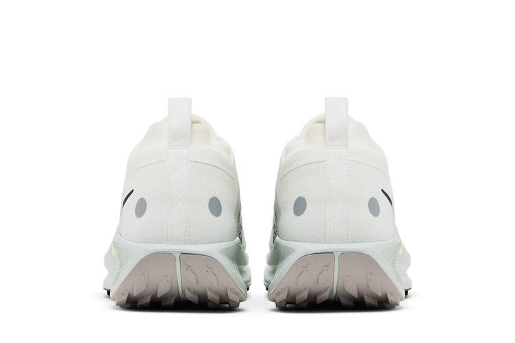 Nike Pegasus Trail 5 Gore-Tex Summit White Light Silver College Grey