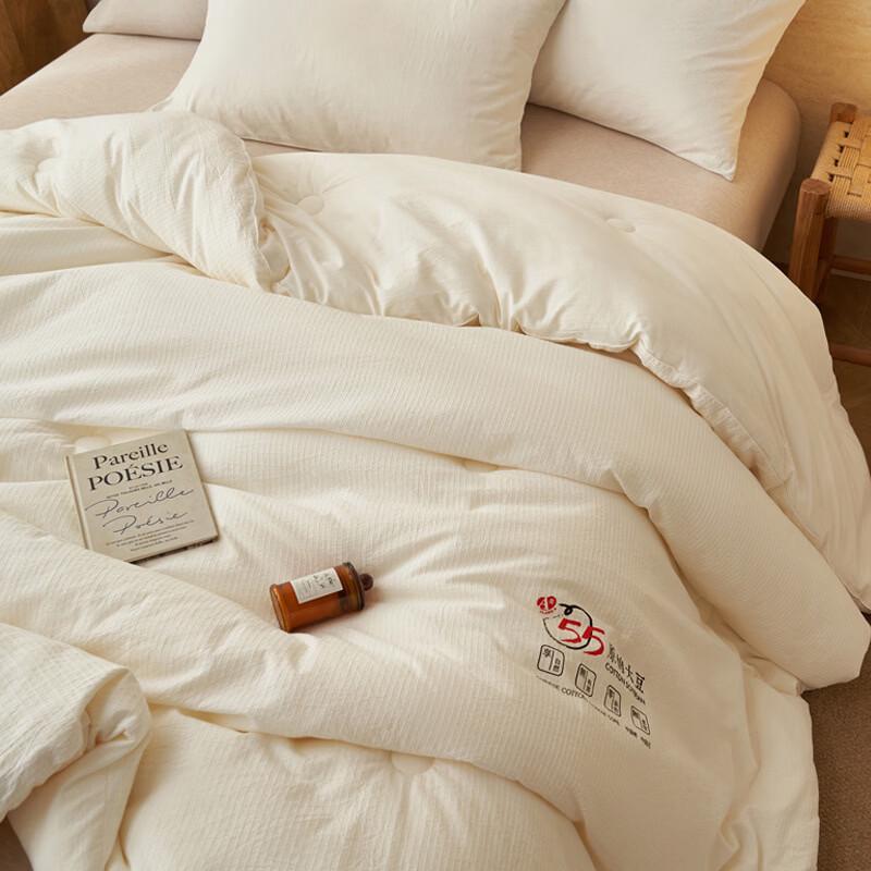 LISM Washed Cotton Soy Fiber & Lyocell Autumn/Winter Dual Quilt