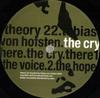 12-Zoll-Schallplatte TOBIAS VON HOFSTEN The Cry THEORY22 Theory Recordin 2004 UK Dance Electronica Gebraucht