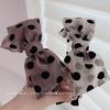 Elegant Niche Polka-dot Bowknot Headband Female All-match Net Red Korean Departure with Sweet Wide-brimmed Simple Headband