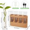 Versatile Propagation Vase 3 Lighting Modes Plant Propagation Station with Wood Stand Hydroponic Plant Glass Container for Home