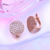 Orecchini a lobo per donna Moda Lusso Zirconia Cubica Orecchini pendenti