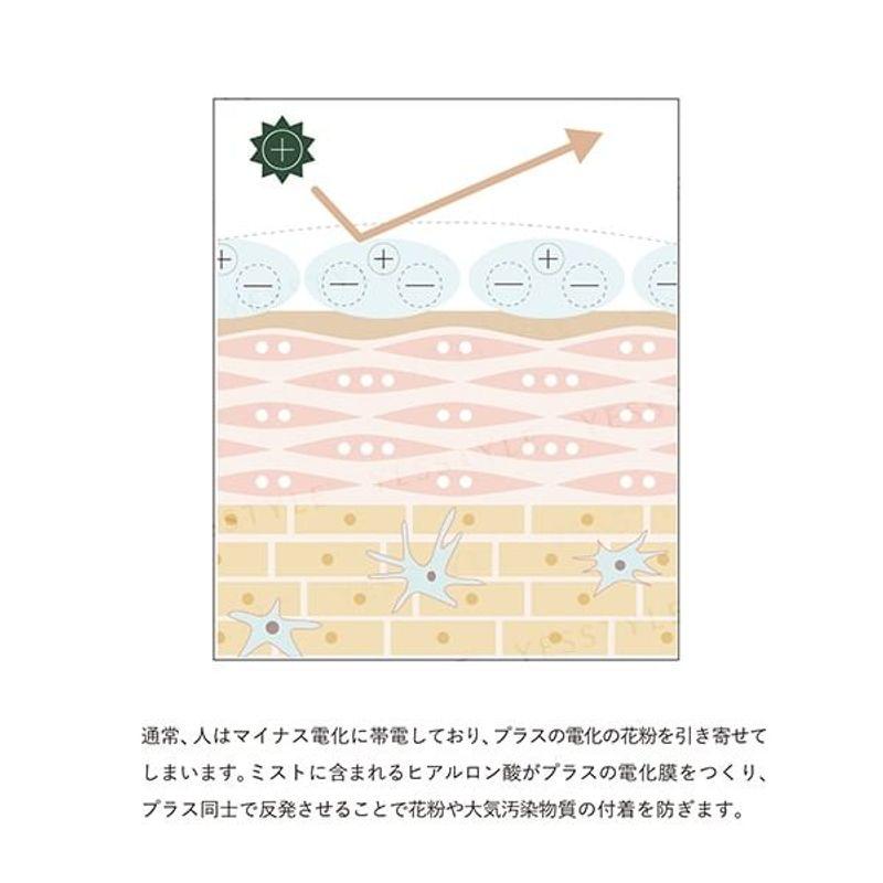 OSAJI - Defence Mist Citrus Herb