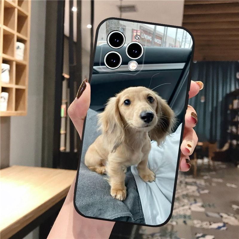 Phone Case Carcasa Funda For iPhone 17 Pro Max 17 Air 16 15 14 13 Pro Max 15 16 Pro 15Plus Dachshund Dog