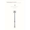 Male Stainless Steel Anal Plug Butt Beads G Spot Wand Male Prostate Massage Stick Double Dildo Vagina Sex Toy Anal Dildo