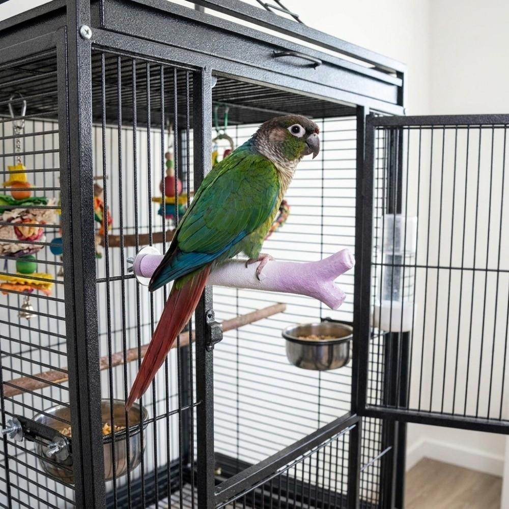 Screw Fixation Bird Standing Perches Textured Claw Grinding Rod Parrot Standing Bar Bird Cage