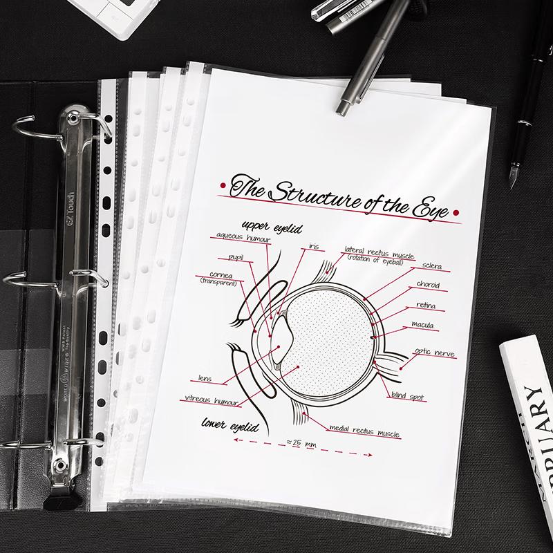 Deli A4 Textured 11-Hole Document Inner Pages