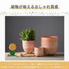 AZNABLE Flower Stylish Ceramic Drain Red Ceramic Unglazed Retro Flower Pot Diameter 16 x Height Pot, Planter, Hole, Ceramic, Clay, Style, (Blue, 16cm)