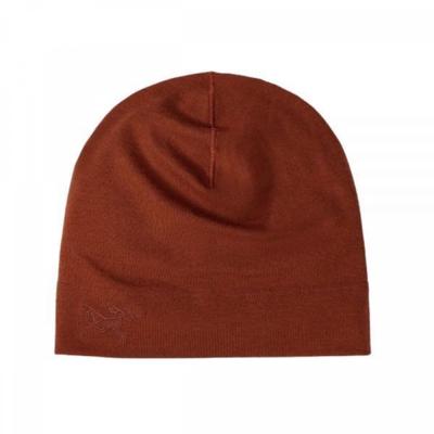 Arc Teryx Rho Lightweight Wool Toque