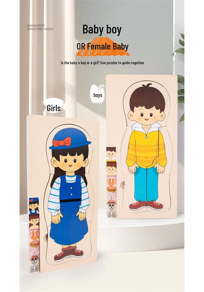 Early Childhood Educational Wooden Puzzle: Multi-layer Body, Brain & Organ Development Toy
