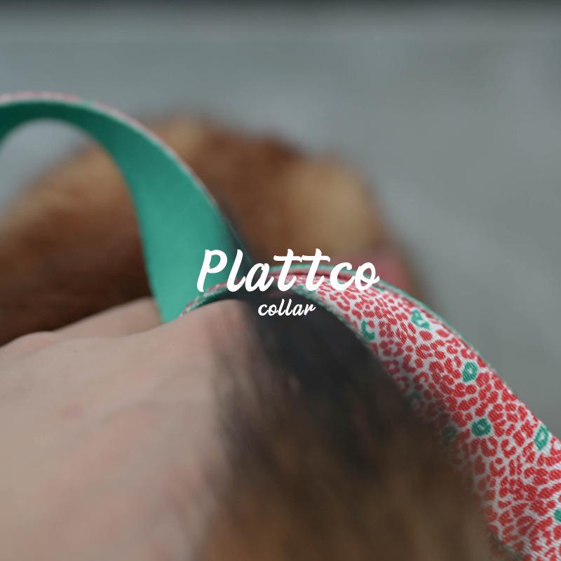 Plattco Red Leopard Print Nylon Dog Collar and Leash Set PDL332