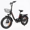 BAOLUJIE DZ-2030 Electric Bike 20*4.0'' Inch Tires 500W Motor 48V16AH Battery Max Speed 40KM/H Mechanical Disc Brakes