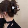 2024 Frosted Large Star Hair Clip - High-End Shark Clip Accessory for Women