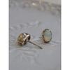 Lacie  Earring