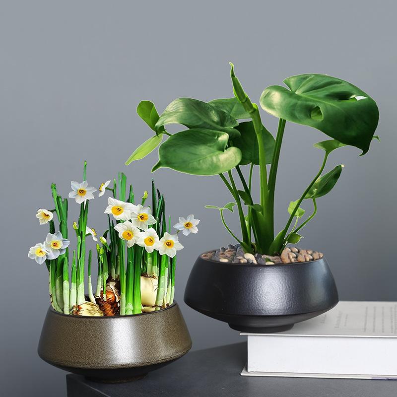 Copper Coin Grass Hydroponic Landscaping Flower Pot Ceramic Creative Simple Narcissus Kiln Change Retro Non-Porous Pot Indoor Household