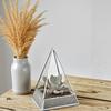 Eco-Friendly Indoor Glass Greenhouse for Succulents and Bonsai Plants