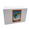 US dollar 100,000 dollar stacks of bills coin bank piggy bank