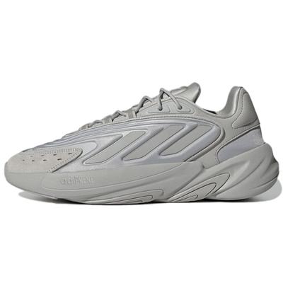Ozelia 'Triple Grey' tossud H04252