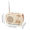 DIY Radio Modell Wissenschaftsset Lernspielzeug Technologie Kinder Puzzle Frühes Lernen
