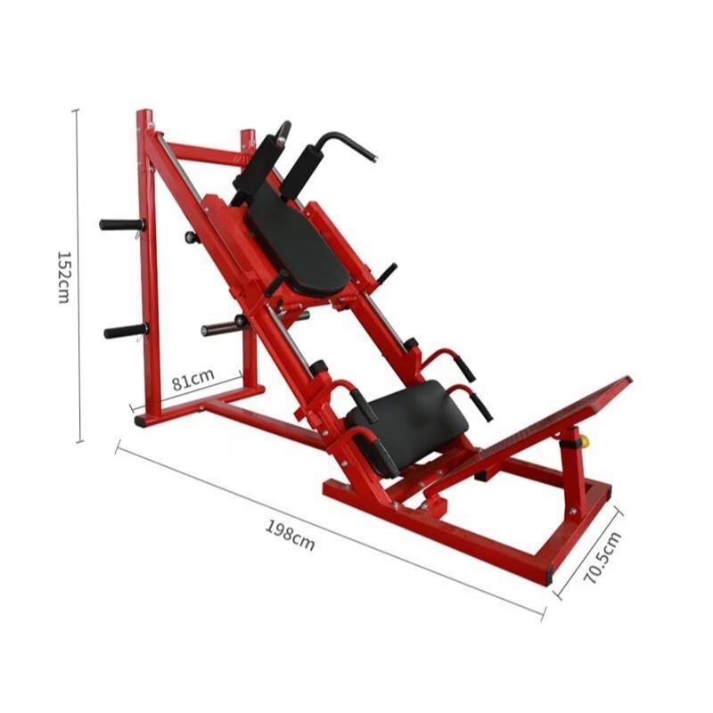 Yishi Dual-Function Leg Press & Hack Squat Machine