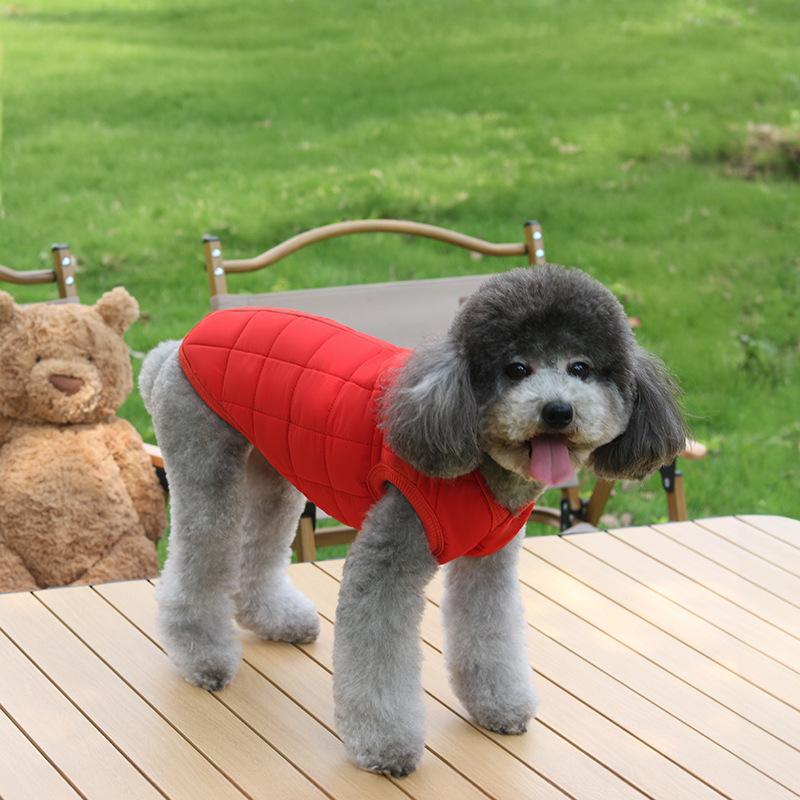 

1 шт. простий одяг для домашніх тварин, одяг для собак і котів з бавовняною підкладкою, тедді, для маленьких собак, осінньо-зимові моделі XXL червоний